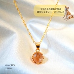 世界に一つだけのペットジュエリー💎うちの子被毛ジュエリー　被毛アクセサリー　遺毛アクセサリー　遺毛ジュエリー　遺毛ネックレス　sv925
