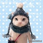 no.403 冬の白猫さん