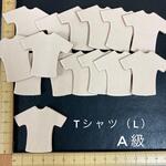 ヌメ革　Ｔシャツ（L）A級　１５枚セット