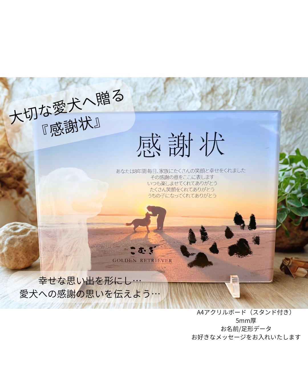 大切な愛犬へ贈る『世界にひとつの感謝状』 メモリアル 贈り物 ギフト お誕生日 虹の橋 オーダーメイド 動物