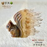 🐿️リス⭐️天然本水晶クラスター✨インテリア置物✨一点物❗️