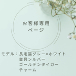 ＊お客様専用ページ＊モデル:長毛猫グレー×ホワイト(金具シルバー、ビーズ:ゴールデンタイガー)