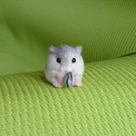 ご依頼品   羊毛フェルト 