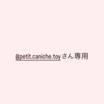 @petit.caniche.toyさん専用