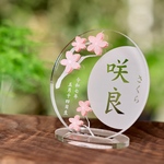 桜チャームのアクリルオーナメント　おひなまつり　お名前札　桃の節句 初節句 アクリル置き台プレゼント　複数割あり