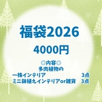 🎍2026年新春福袋〈梅〉🎍／4,000円で8,000円相当の多肉植物アクセサリー
