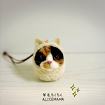 だるま猫ちゃん☆三毛猫