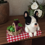 うとうと💤  フレンチブルドッグさん  ぶどう狩り編