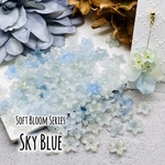 1/11 ✨𝗡𝗘𝗪✨️3日間限定【250円→225円】 【brsr3636acrc】【50個】【11mm】Soft Bloom Series オリジナル フラワービーズ