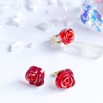 中身が見えるプチ福袋✨赤い薔薇セット　現品限り／送料込み　