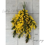 2026年ミモザのスワッグ＊予約販売＊ナチュラル＊2サイズ展開