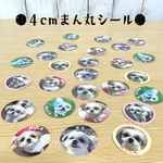 まん丸うちの子シール（4cm）　★写真からうちの子シールを作ります★