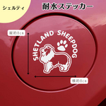【シェルティ】耐水ステッカー（屋外OK）車・タンブラーに 名入れ可