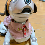 バラ🌹刺繍のパンツとシャツ風スタイ