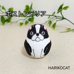 ★ミニ張り子だるま★犬 ボストンテリア dog HARIKOCAT