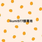ikumi977様専用