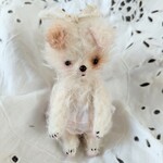 子犬のココミちゃん