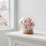 【母の日】春を告げる桜のガラスドーム Cherry Blossom  ひな祭り　お花見