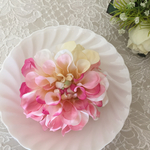 ピンクホワイトダリア