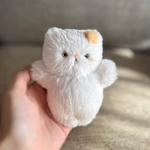 小さな茶白猫①