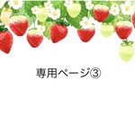 専用ページ③