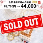 66,800円➡35,000円【2025年　新春福袋】＊数量限定販売／中身が全部選べる福袋　ハッピーバッグ2025　初売り　セール　つけっぱなしOK