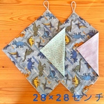 かっこいい恐竜【28×28センチ】ループ付きタオルセット