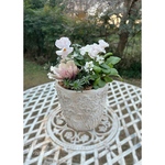 【ご予約品】・.* 花ろまんすみれシリーズ*. ・「恋もも」寄せ植え