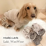ヒョウ柄　レオパード　パーカー　パンツ　スカート　ロンパース　犬　秋冬