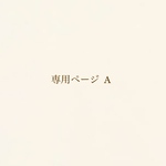 専用ページA     ベビーセット  