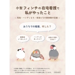 [実録本]小型フィンチの在宅看護で私がやったこと