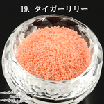 SALE ■送料無料■19.タイガーリリー【たっぷり15g 0.6mm】穴無しマイクロガラスビーズ ノンホールビーズ ネイル デコ レジン★森の雑貨屋さん★