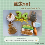 ⭐︎新商品⭐︎昆虫アイシングクッキー