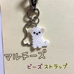 マルチーズ