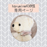 haruminm430様専用