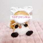 うさぎ！？ぽてのおめかしボンネット　ホワイト　ぬい服