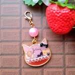 猫型ストロベリーチョコレート