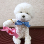 tentamasan様専用となります