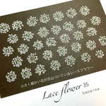 🎵レースフラワー 35 ＊押し花