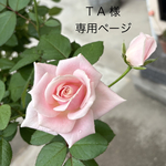 ❤️TA様専用ページ
