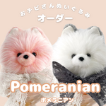 ポメラニアン おチビさんぬいぐるみ オーダー｜ポメ ぬい撮り ぬい活 うちの子 かわいい ふわふわ