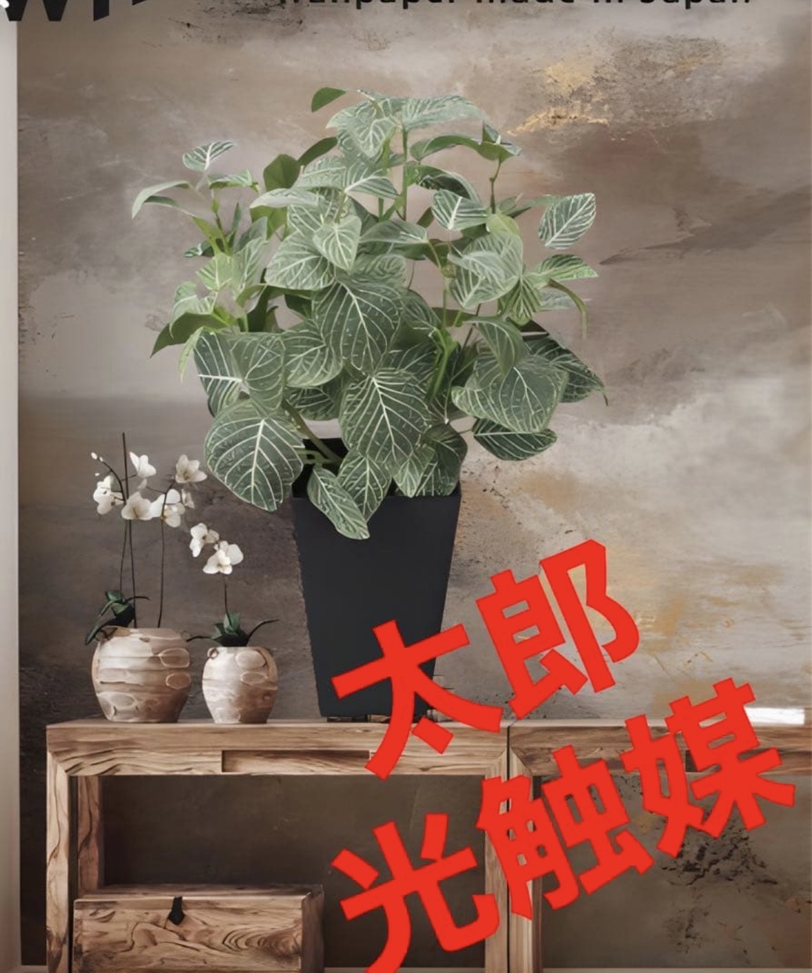 光触媒　人工観葉植物　ウォールグリーン　フェイクグリーン　フィットニアs