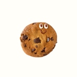 ROCKY BIG / クッキーのマグネット