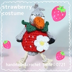 ハシビロコウさん♡着せ替えコスチューム🍓苺ワンピ【受注制作】