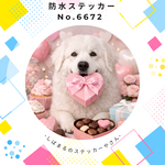 お客様専用ページ４枚セット