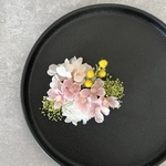 【お色変更可能】✿ミモザ　桜（ソメイヨシノ） 紫陽花（白 桃色）　かすみ草（グリーン）の髪飾り✿  結婚式　ブライダル　ウエディング　卒業式　卒園式　入学式　成人式　和装　ヘアアクセ　ヘッドアクセサリ