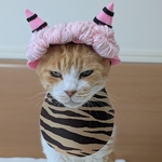 薄ピンクオニコスプレ