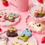 【期間限定🍫】チョコがけクッキーアート5枚セット