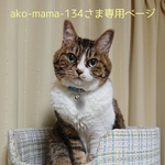 【aki-mama-134様オーダー品】シンプルモノトーンな北欧柄　超特大サイズ