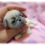 パグしゃん